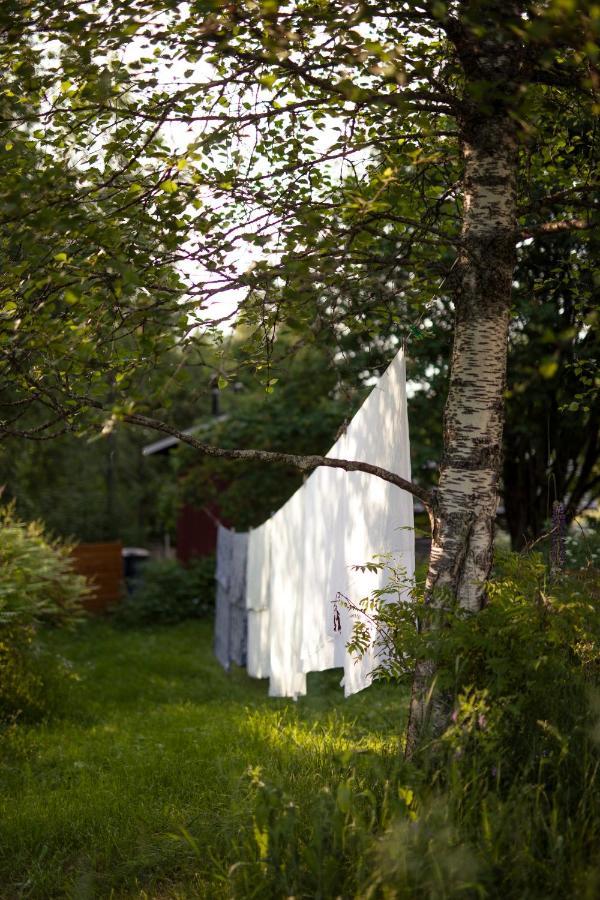 Kolin Mattila B&B Kolinkylä 外观 照片