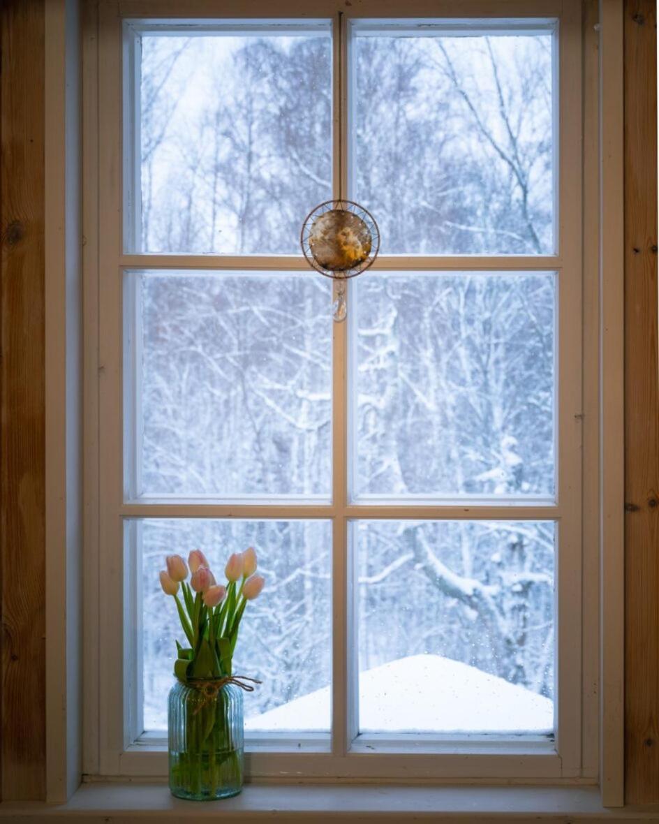 Kolin Mattila B&B Kolinkylä 外观 照片