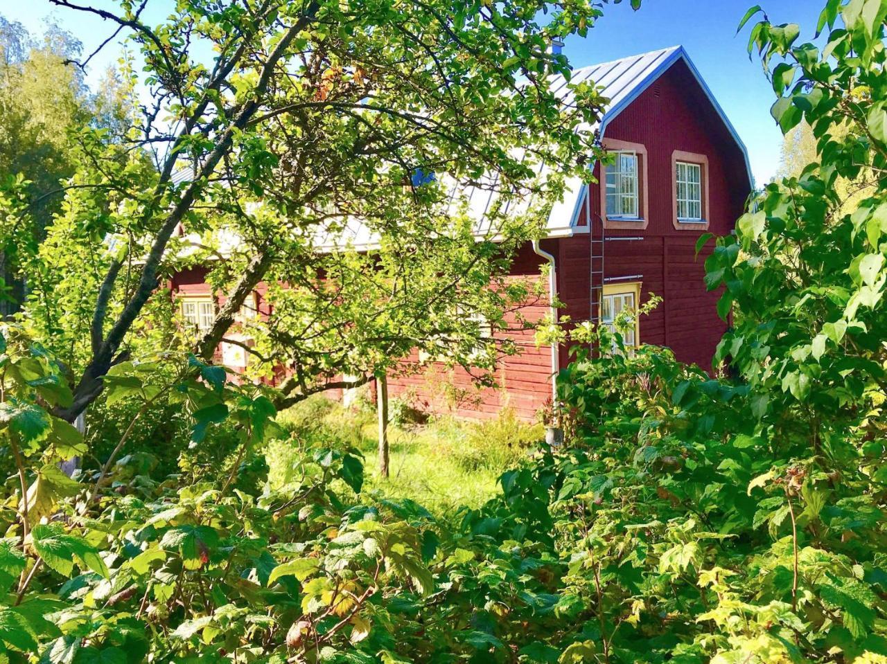Kolin Mattila B&B Kolinkylä 外观 照片
