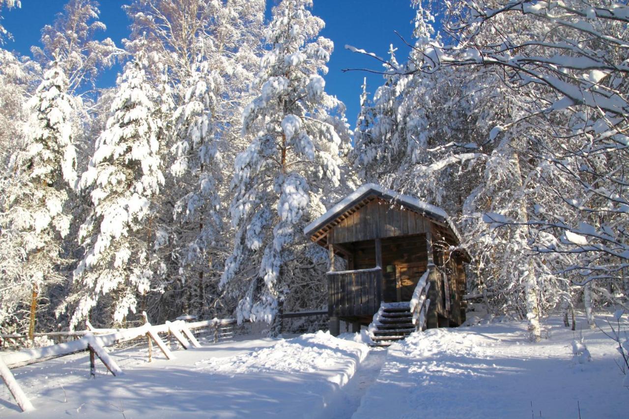 Kolin Mattila B&B Kolinkylä 外观 照片