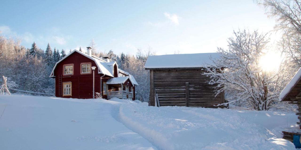 Kolin Mattila B&B Kolinkylä 外观 照片